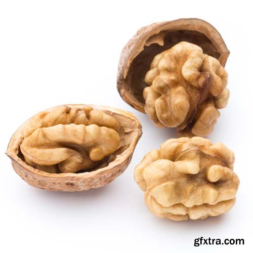 Walnut Isolated - 10xJPGs