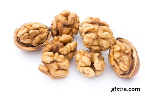 Walnut Isolated - 10xJPGs