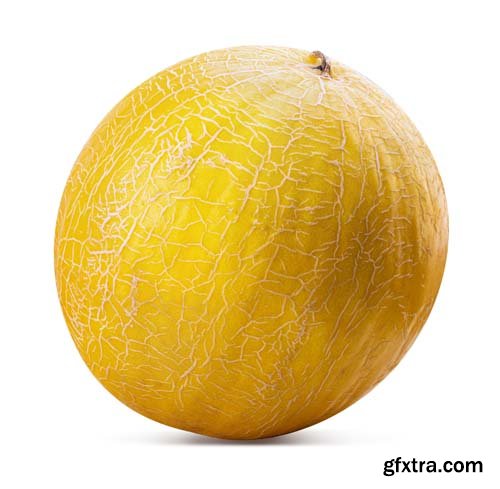 Yellow Melon Isolated - 6xJPGs