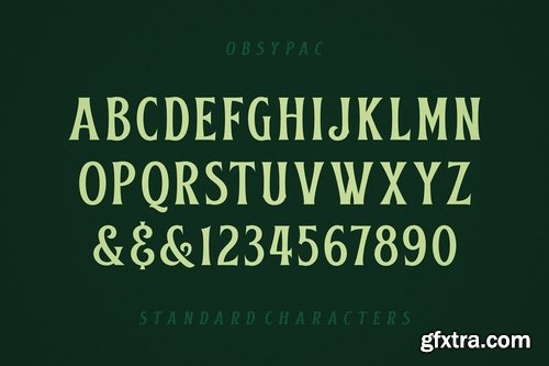 CM - Obsypac Vintage Serif 3789574