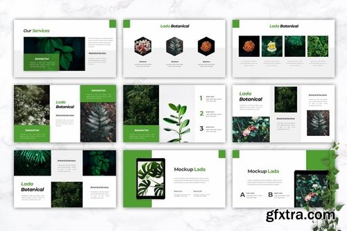 LADA Botanical - Powerpoint Google Slides and Keynote Templates