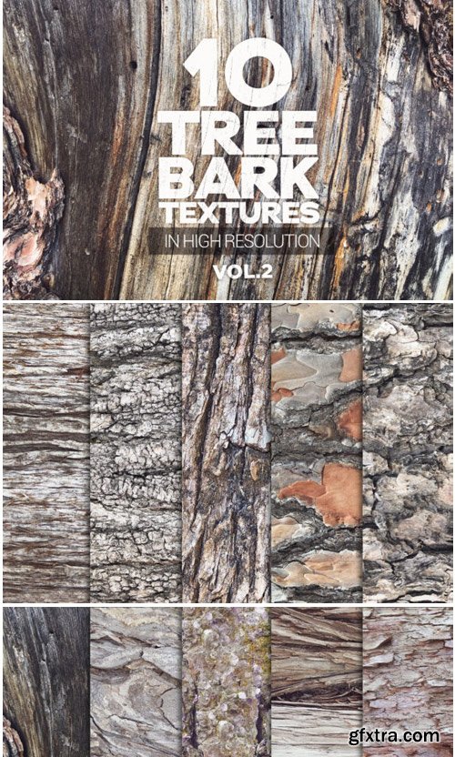 Tree Bark Textures X10 Vol2 1441125