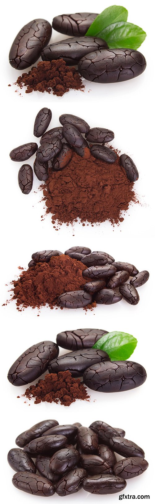 Cocoa Bean And Cocoa Powder Isolated - 5xJPGs