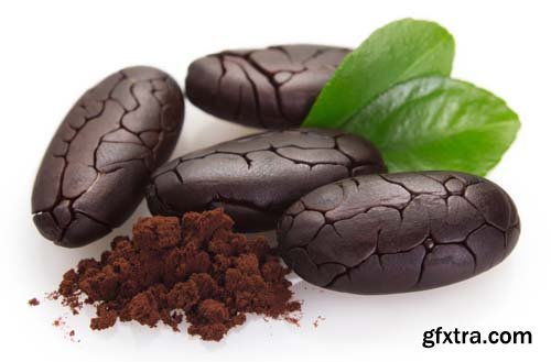 Cocoa Bean And Cocoa Powder Isolated - 5xJPGs