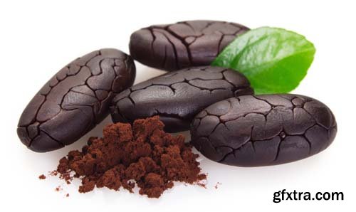 Cocoa Bean And Cocoa Powder Isolated - 5xJPGs