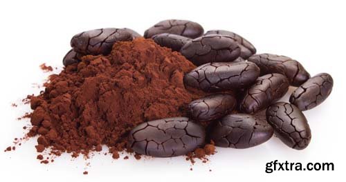 Cocoa Bean And Cocoa Powder Isolated - 5xJPGs