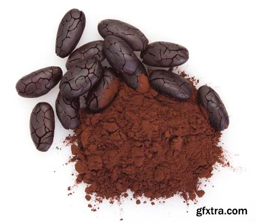 Cocoa Bean And Cocoa Powder Isolated - 5xJPGs