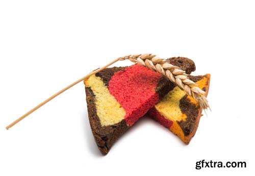 Colored Bread Toasts Isolated - 8xJPGs