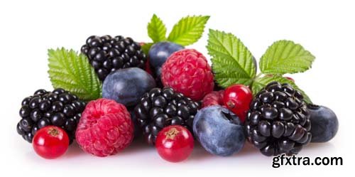 Fresh Berries Isolated - 6xJPGs