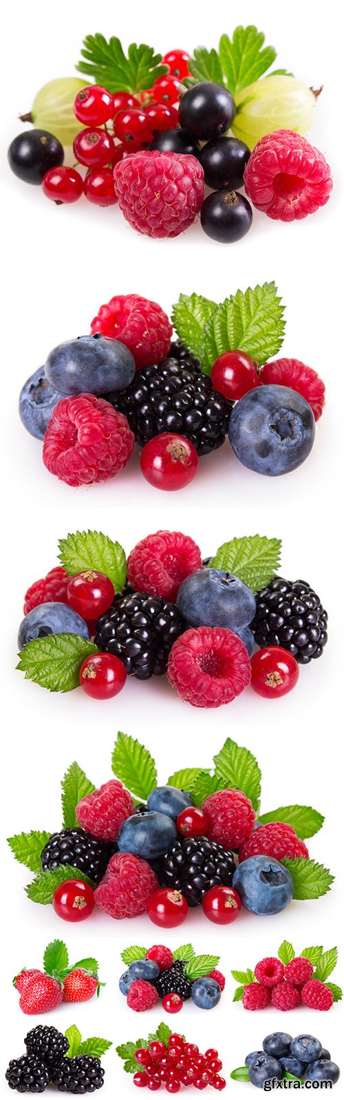 Fresh Berries Isolated - 6xJPGs
