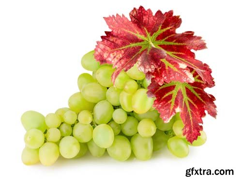 Green Grapes Isolated - 7xJPGs