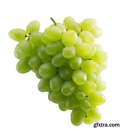 Green Grapes Isolated - 7xJPGs