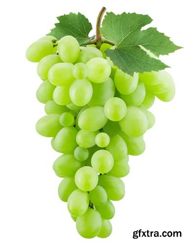 Green Grapes Isolated - 7xJPGs