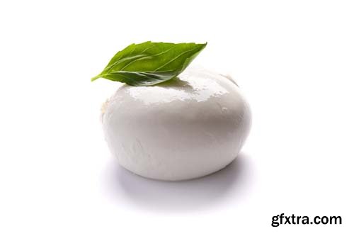 Mozzarella Isolated - 9xJPGs