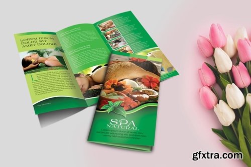 Spa Natural Brochure Trifold Vol.1