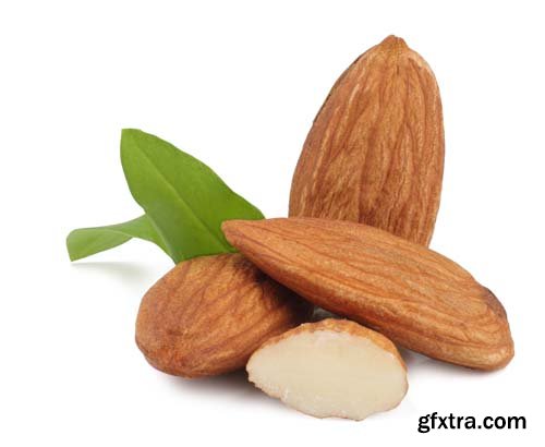 Almonds Isolated - 10xJPGs