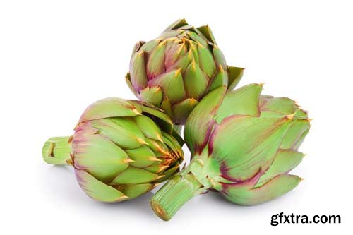 Artichoke Isolated - 8xJPGs