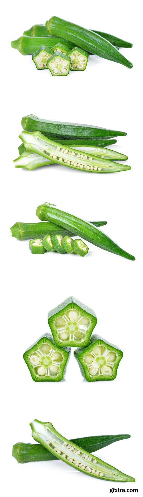 Green Roselle Isolated - 9xJPGs