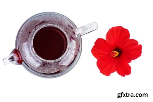 Hibiscus Tea Isolated - 7xJPGs