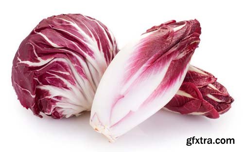 Red Chicory Isolated - 6xJPGs