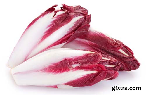 Red Chicory Isolated - 6xJPGs