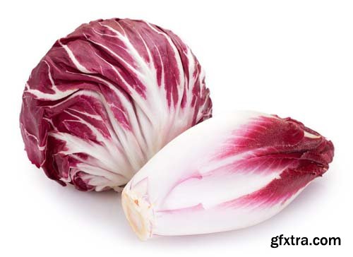 Red Chicory Isolated - 6xJPGs