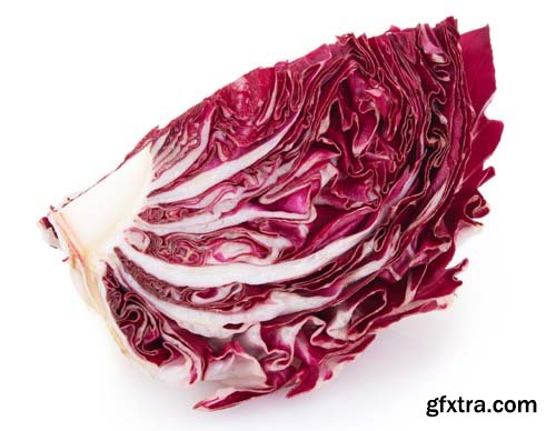 Red Chicory Isolated - 6xJPGs