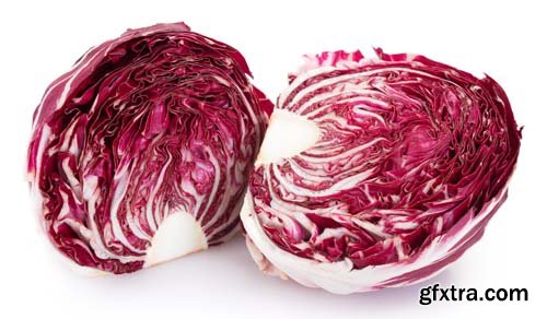 Red Chicory Isolated - 6xJPGs