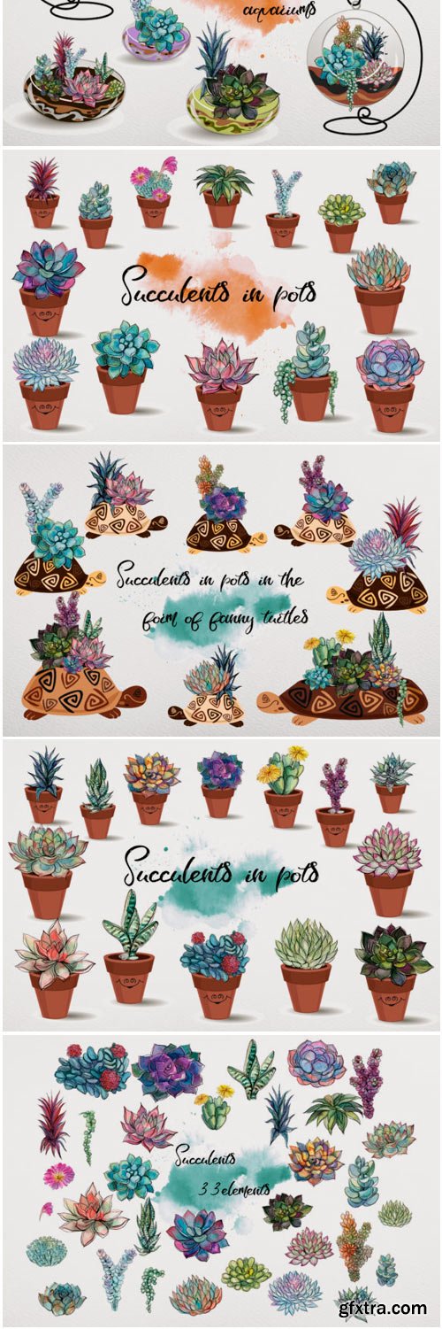 Succulents Watercolor Graphics 772208