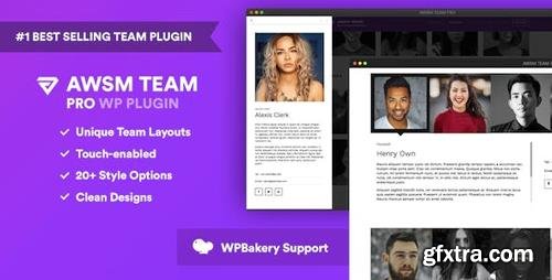 CodeCanyon - The Team Pro v1.4.3 - Team Showcase WordPress Plugin - 17521235