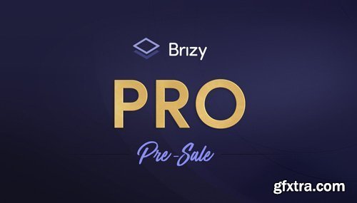 Brizy Pro v0.0.26 - WordPress Builder Plugin