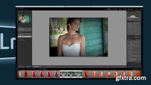 CreativeLive - Lightroom Library Module by Dave Cross