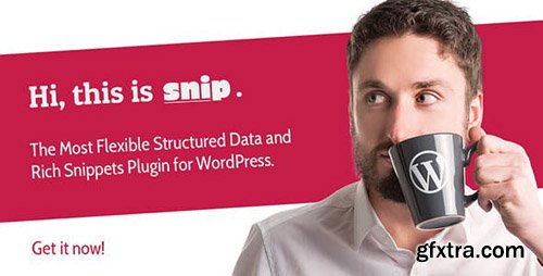 CodeCanyon - SNIP v2.13.0 - Structured Data Plugin for WordPress - 3464341 - NULLED