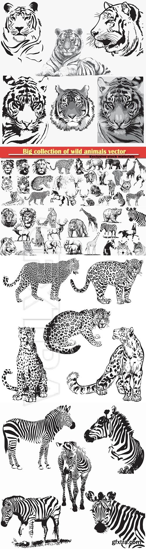 Big collection of wild animals vector illustration