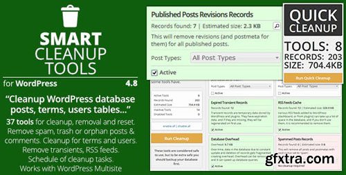 CodeCanyon - Smart Cleanup Tools v4.8 - Plugin for WordPress - 3714047