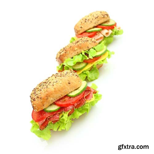 Delicious Fresh Cheese Sandwich Isolated - 10xJPGs