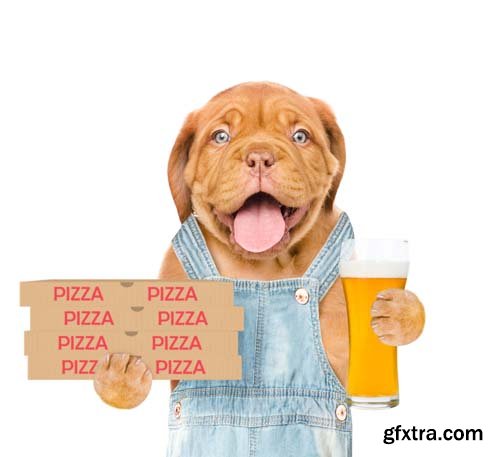 Dog Holding Pizza Isolated - 14xJPGs