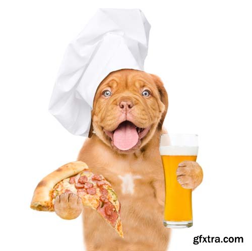 Dog Holding Pizza Isolated - 14xJPGs