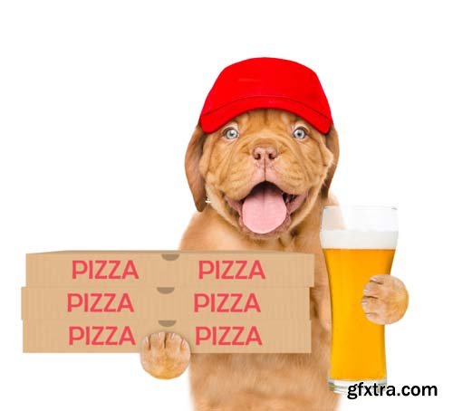 Dog Holding Pizza Isolated - 14xJPGs