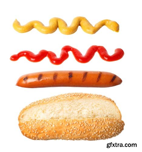 Fly Hot-Dog Isolated - 5xJPGs