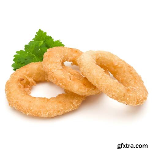 Fried Calamari Ring Isolated - 10xJPGs