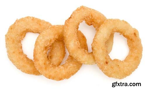 Fried Calamari Ring Isolated - 10xJPGs