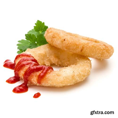 Fried Calamari Ring Isolated - 10xJPGs