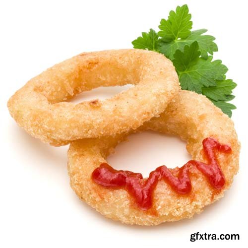 Fried Calamari Ring Isolated - 10xJPGs