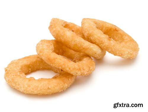 Fried Calamari Ring Isolated - 10xJPGs