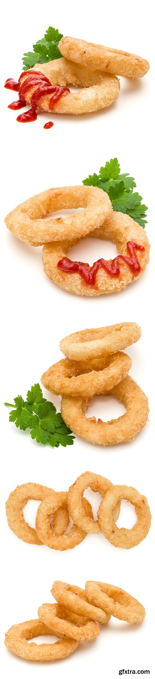 Fried Calamari Ring Isolated - 10xJPGs