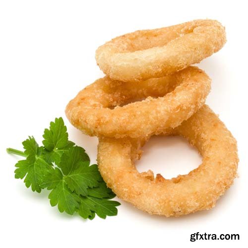 Fried Calamari Ring Isolated - 10xJPGs