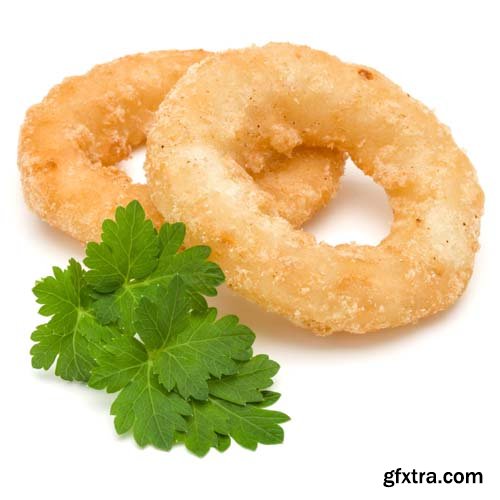 Fried Calamari Ring Isolated - 10xJPGs