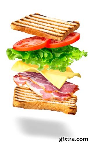 Sandwich With Flying Ingredients Isolated - 7xJPGs