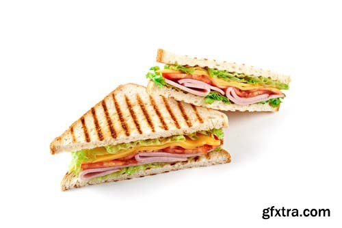 Sandwich With Toasted Bread - 15xJPGs